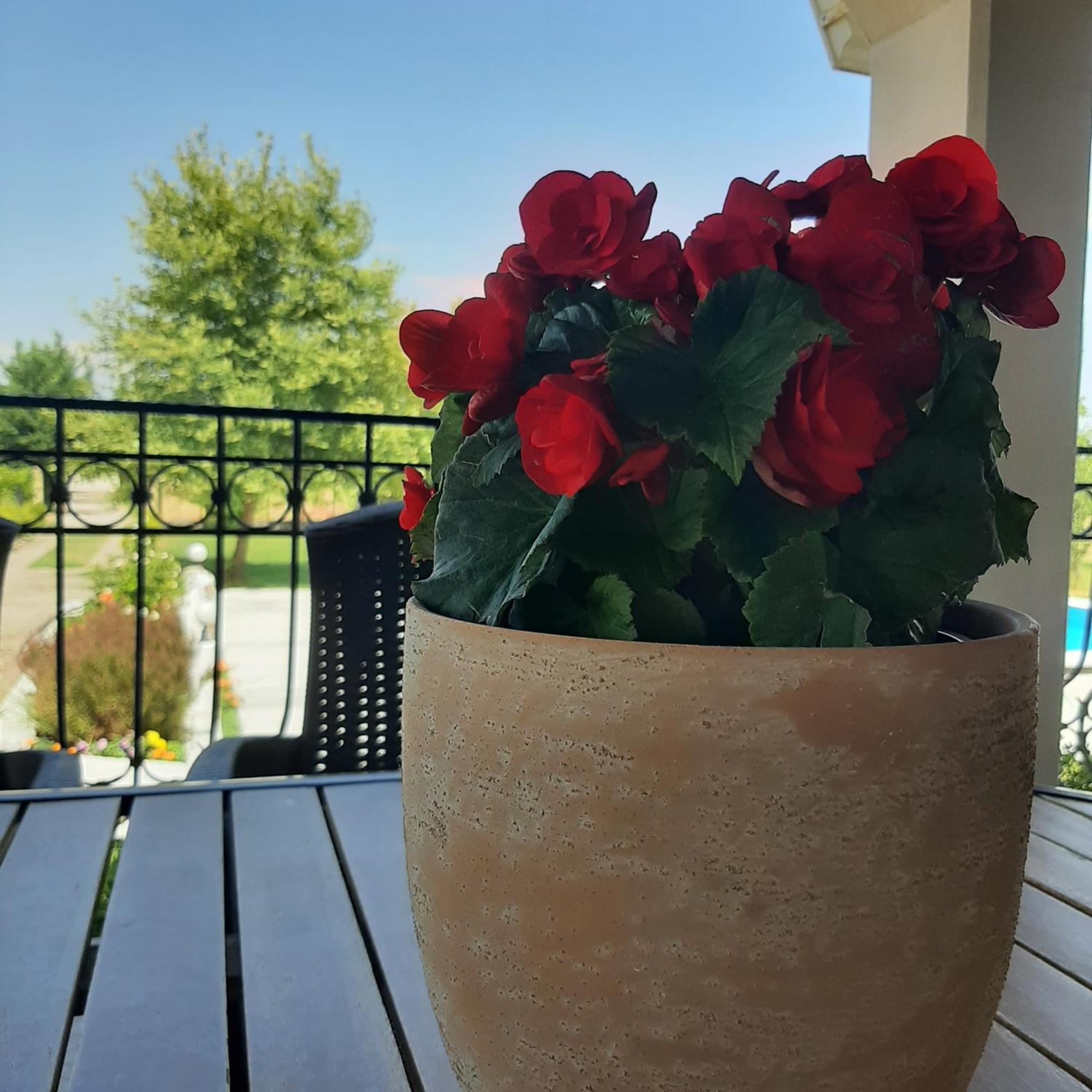 Αρχοντικό Παπανικολάου Βίλα Ligaria  Εξωτερικό φωτογραφία